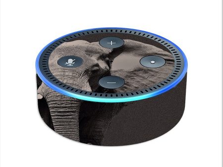 Close Up Of The Elephant Amazon Echo Dot 2nd Gen Skin Cheap